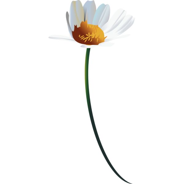 Flowers33 Thumbnail