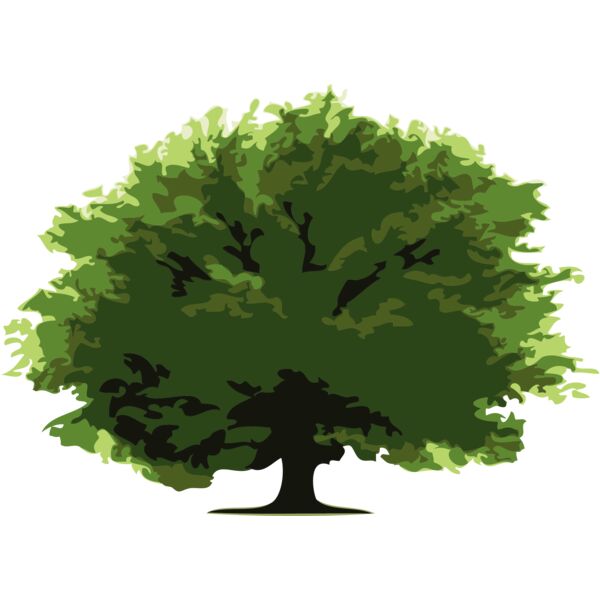 Trees2 Thumbnail