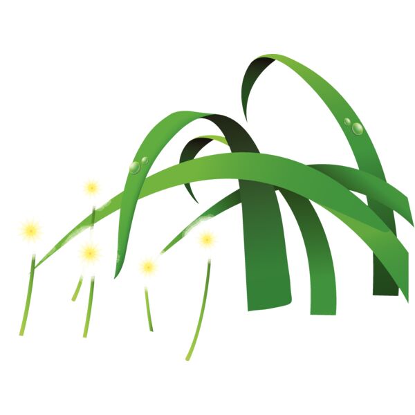 Flowers41 Thumbnail