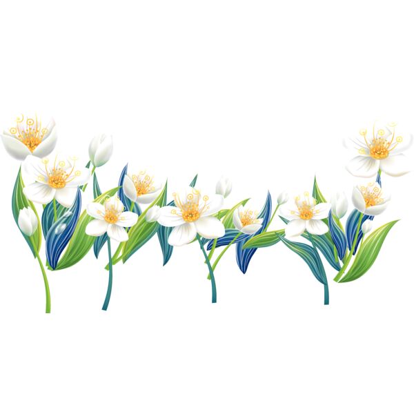 Flowers36 Thumbnail