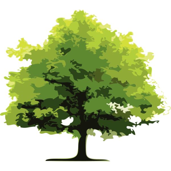 Trees14 Thumbnail