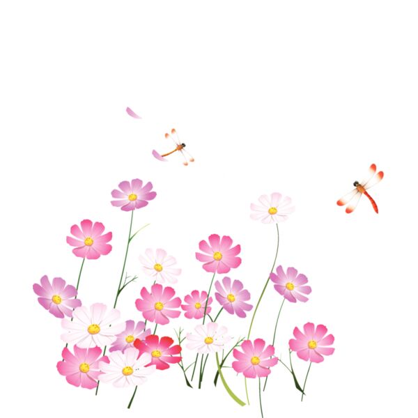 Flowers47 Thumbnail