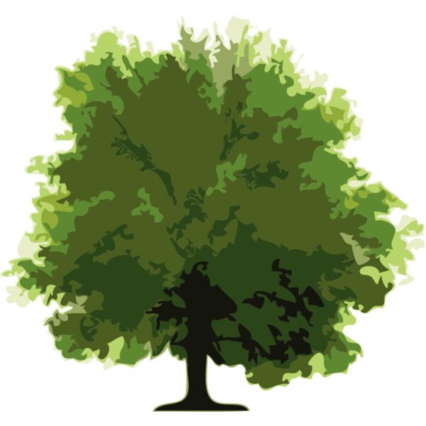 Trees10 Thumbnail