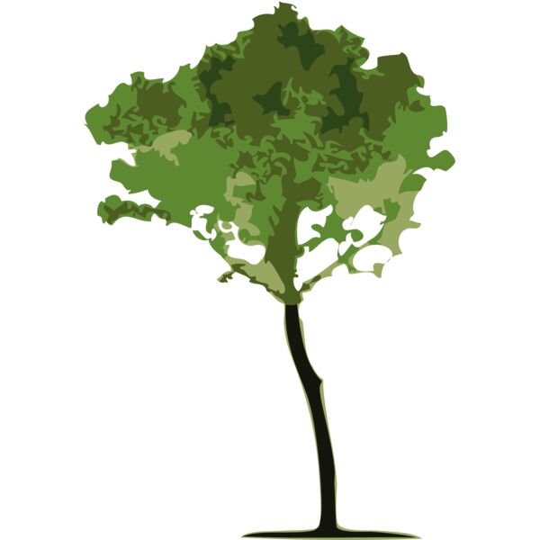 Trees6 Thumbnail