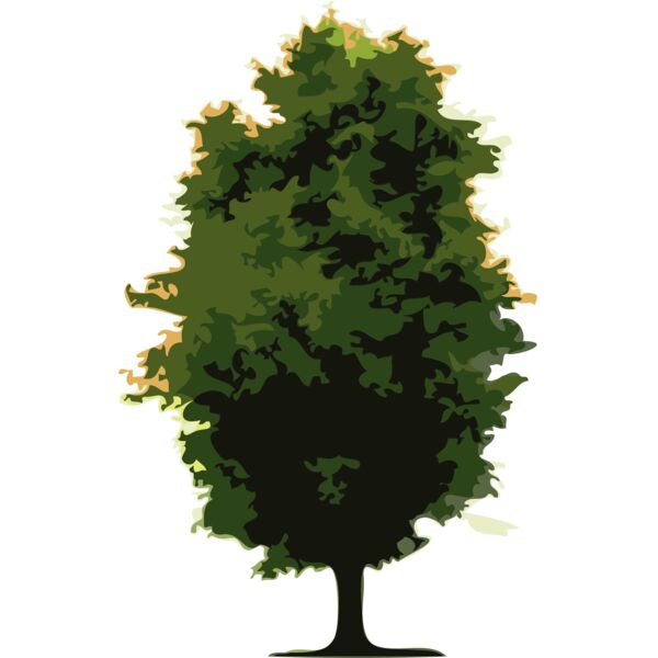 Trees7 Thumbnail