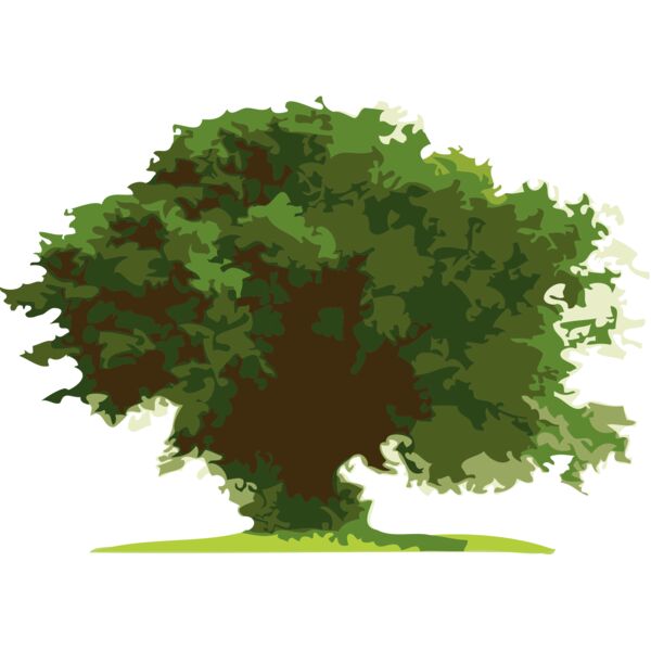 Trees3 Thumbnail