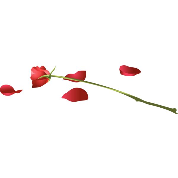 Flowers45 Thumbnail
