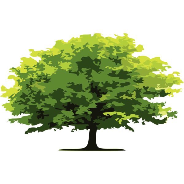 Trees15 Thumbnail