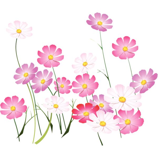 Flowers48 Thumbnail