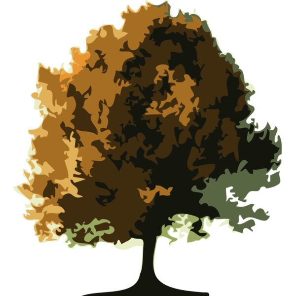 Trees12 Thumbnail