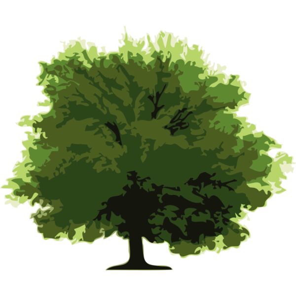 Trees8 Thumbnail