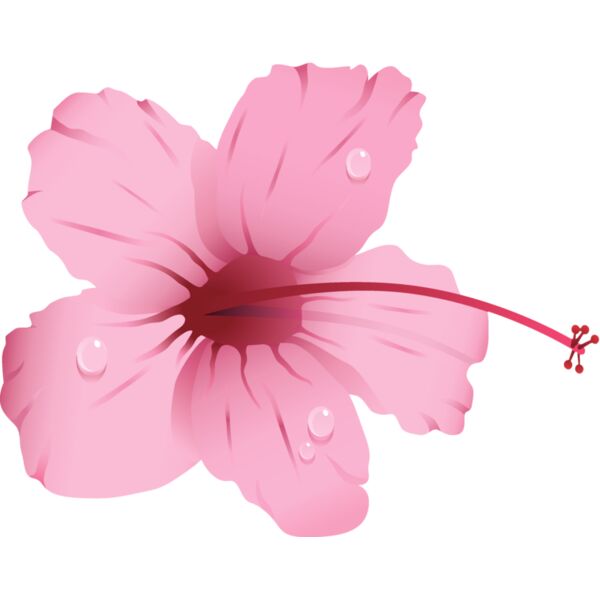 Flowers23 Thumbnail