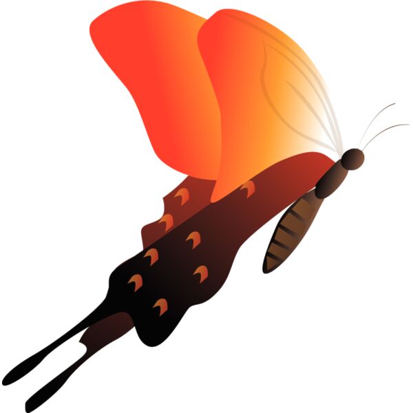 insects1 Thumbnail