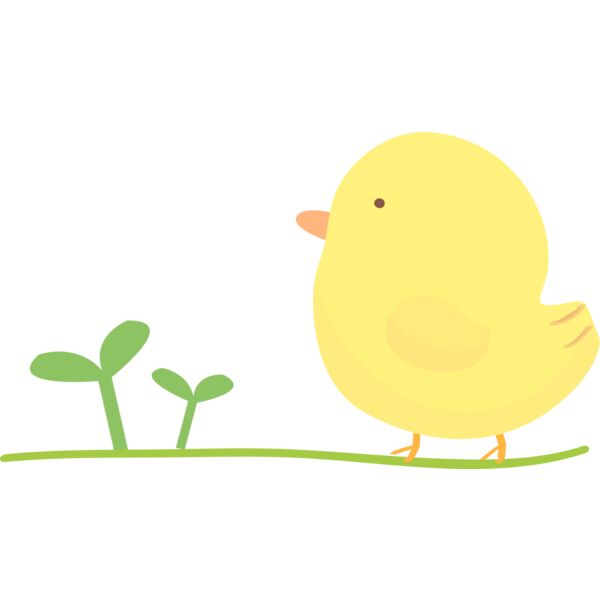 Birds1 Thumbnail