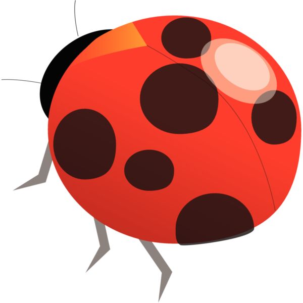 insects3 Thumbnail