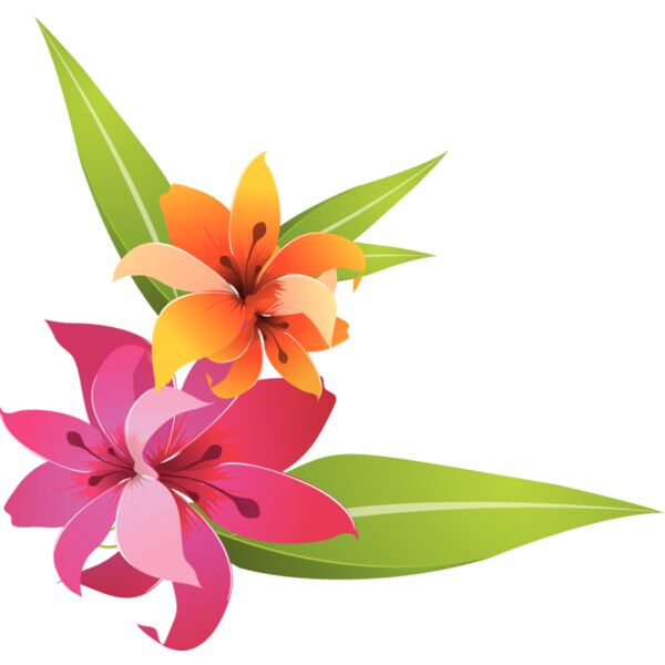 Flowers54 Thumbnail