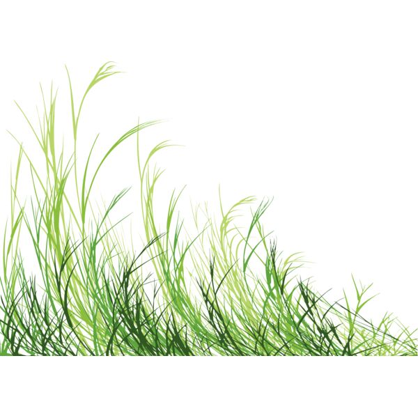 Grass2 Thumbnail
