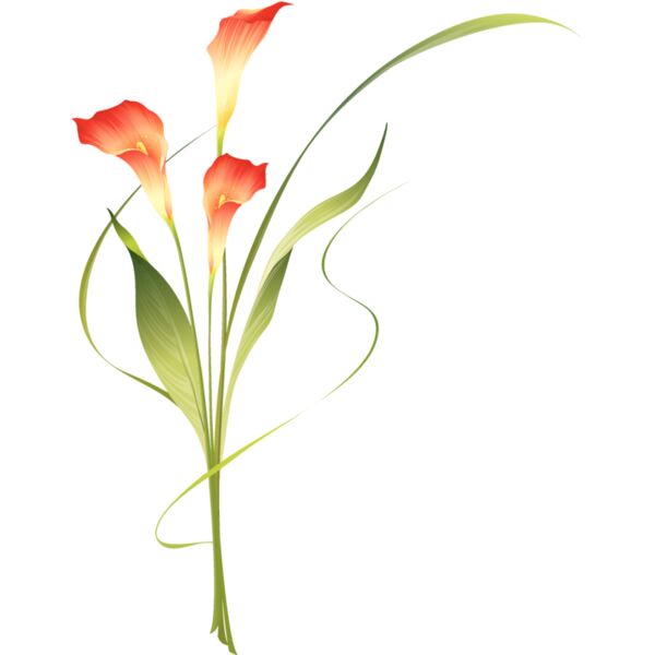 Flowers53 Thumbnail