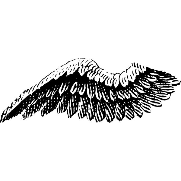 Wings2 Thumbnail