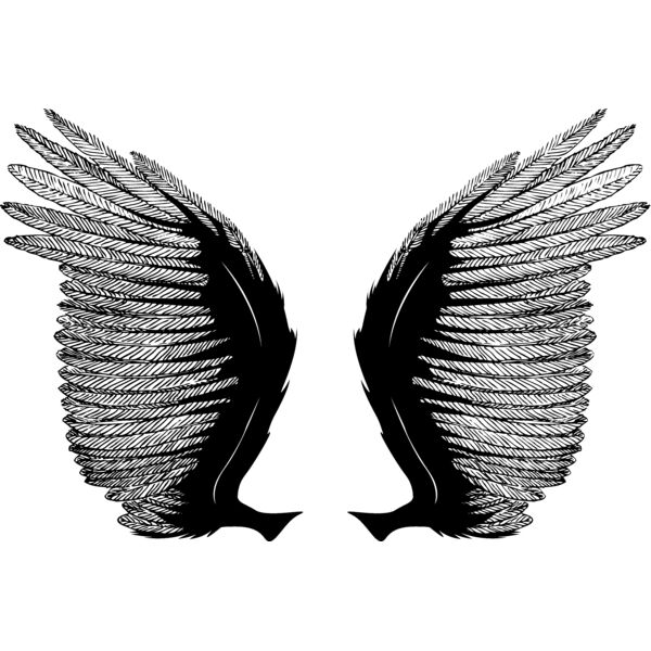 Wings111 Thumbnail