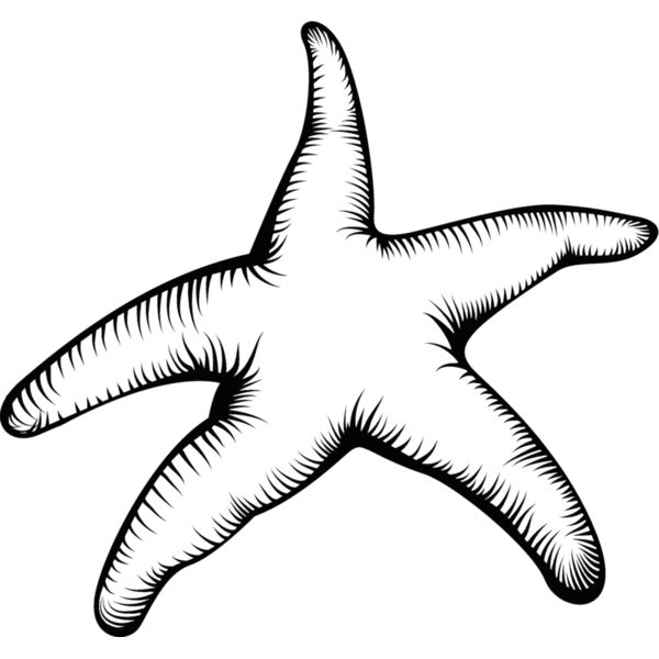 Stars106 Thumbnail