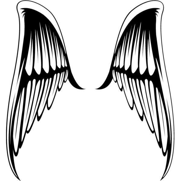 Wings113 Thumbnail