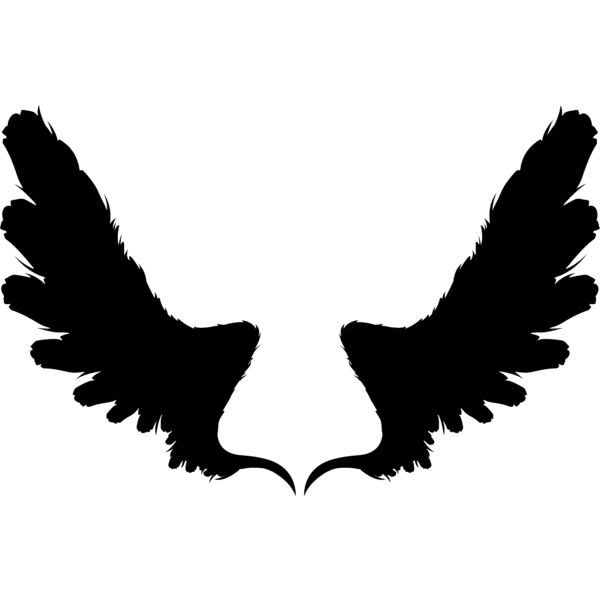 Wings117 Thumbnail