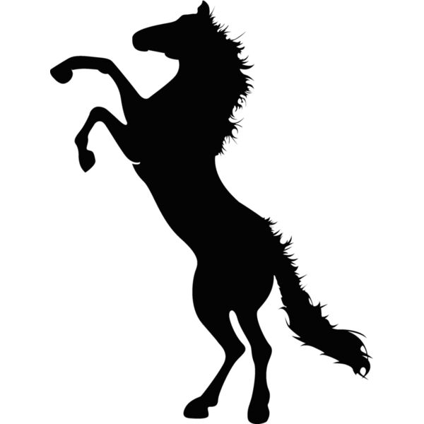 Horse101 Thumbnail