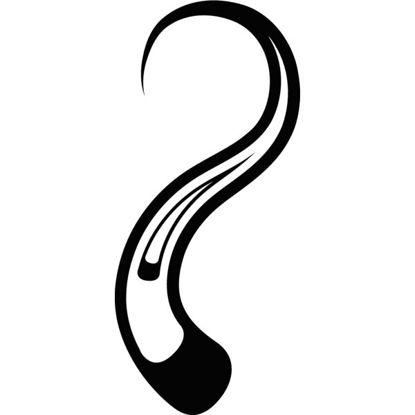 Squiggles105 Thumbnail