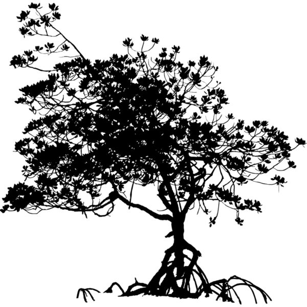 Trees125 Thumbnail
