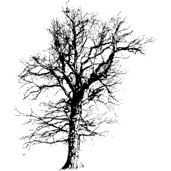 Trees114 Thumbnail