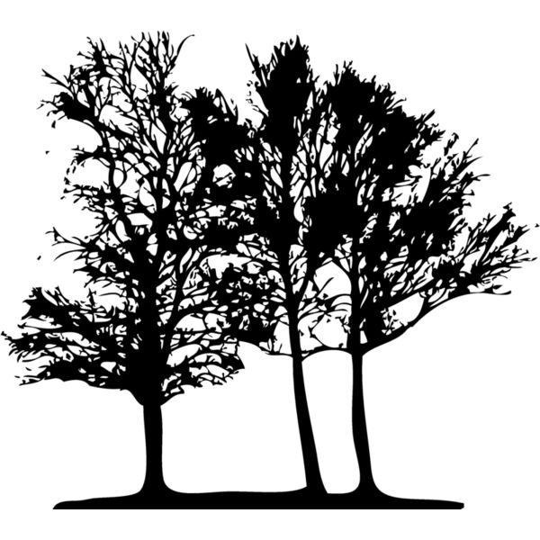 Trees134 Thumbnail