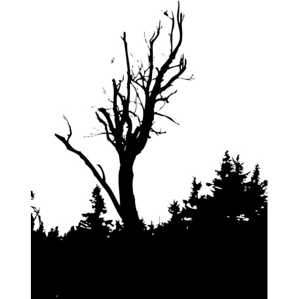 Trees113 Thumbnail