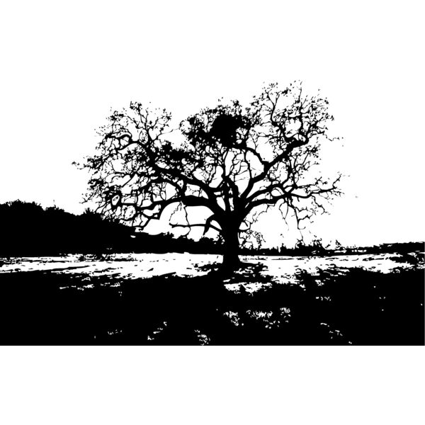 Trees109 Thumbnail