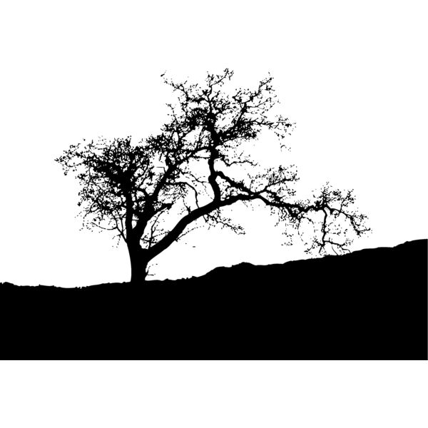 Trees104 Thumbnail