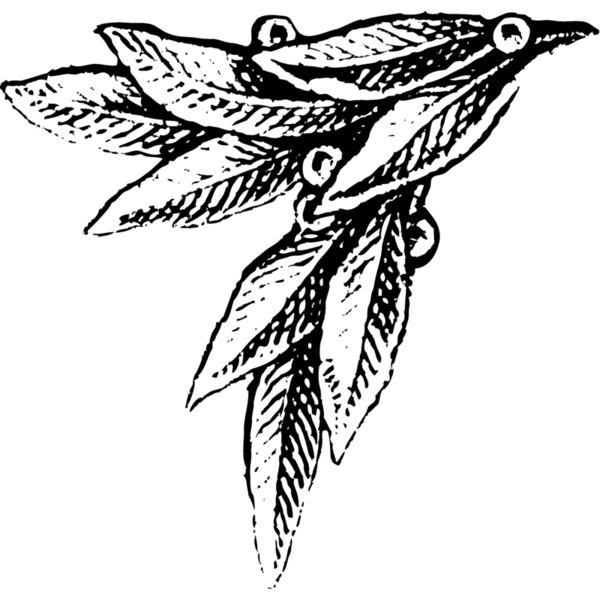 Leaves102 Thumbnail
