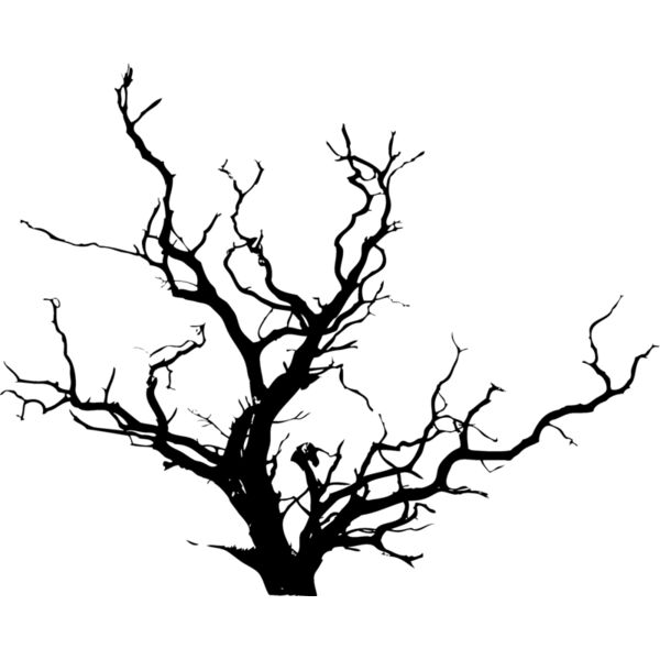 Trees116 Thumbnail