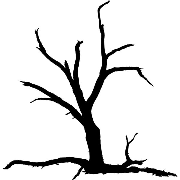 Trees127 Thumbnail