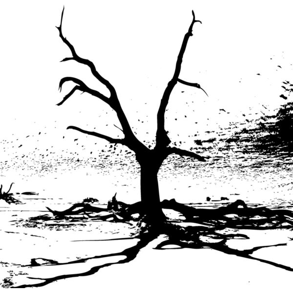 Trees117 Thumbnail