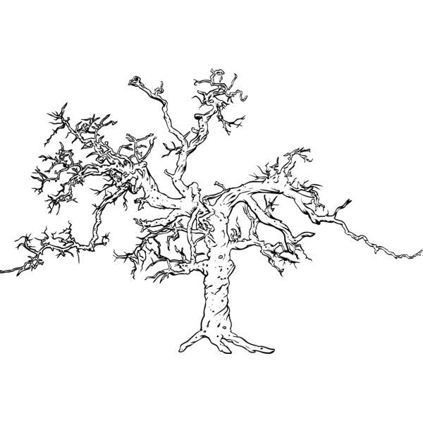 Trees131 Thumbnail