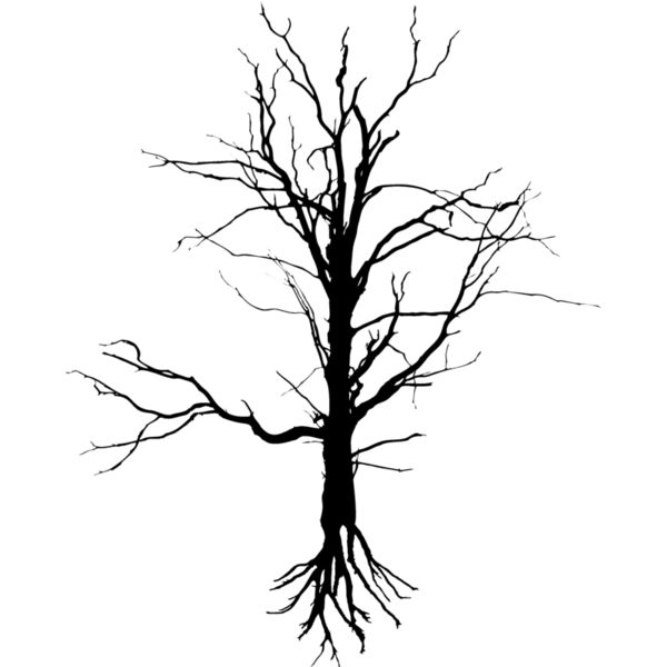 Trees126 Thumbnail