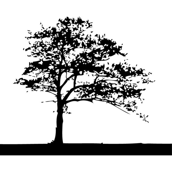 Trees120 Thumbnail