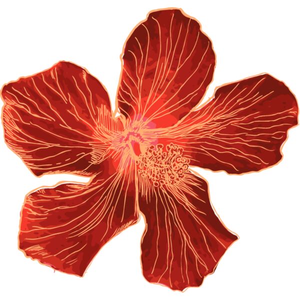 Flowers105 Thumbnail
