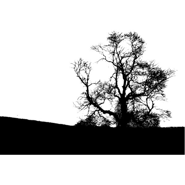 Trees105 Thumbnail