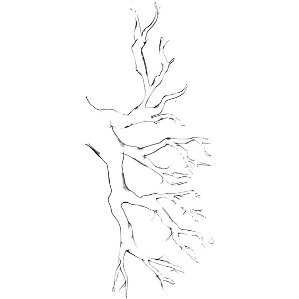 Branches103 Thumbnail