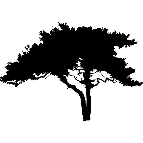 Trees129 Thumbnail