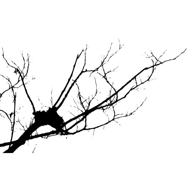 Trees119 Thumbnail