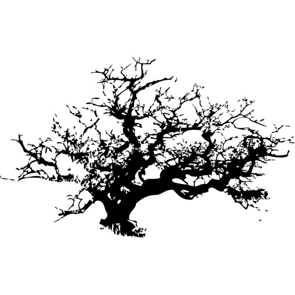 Trees108 Thumbnail