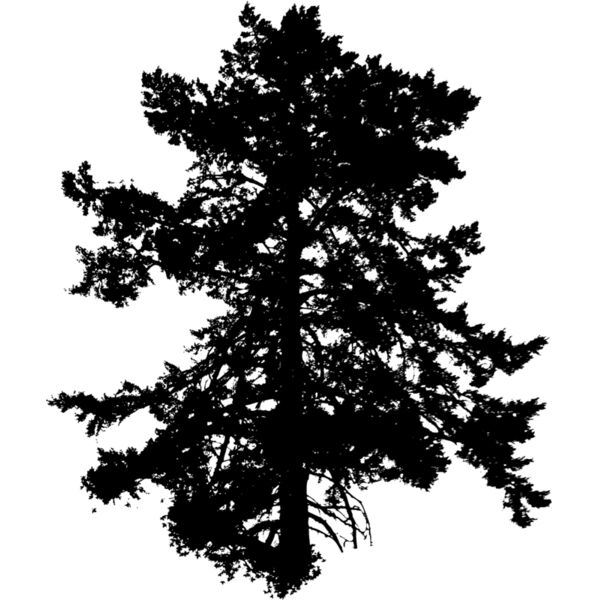 Trees128 Thumbnail
