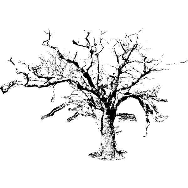 Trees112 Thumbnail